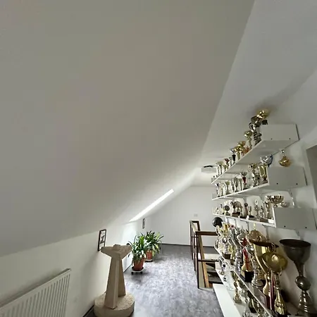 Apartment U Drahusky *